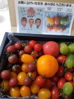 みんなの投稿の画像