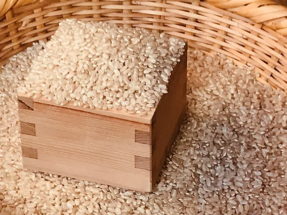 【新米】R5産 特別栽培米コシヒカリ 玄米5㎏