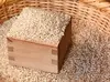 【新米】R4産 特別栽培米コシヒカリ 玄米5㎏