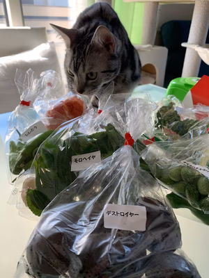 みんなの投稿の画像