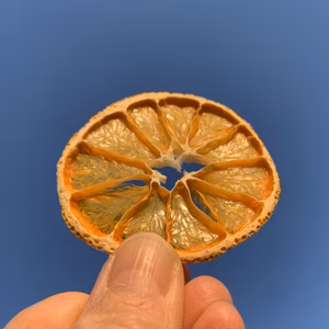 【訳あり】みかんより甘〜い！ドライみかん〈農薬・化学肥料不使用〉