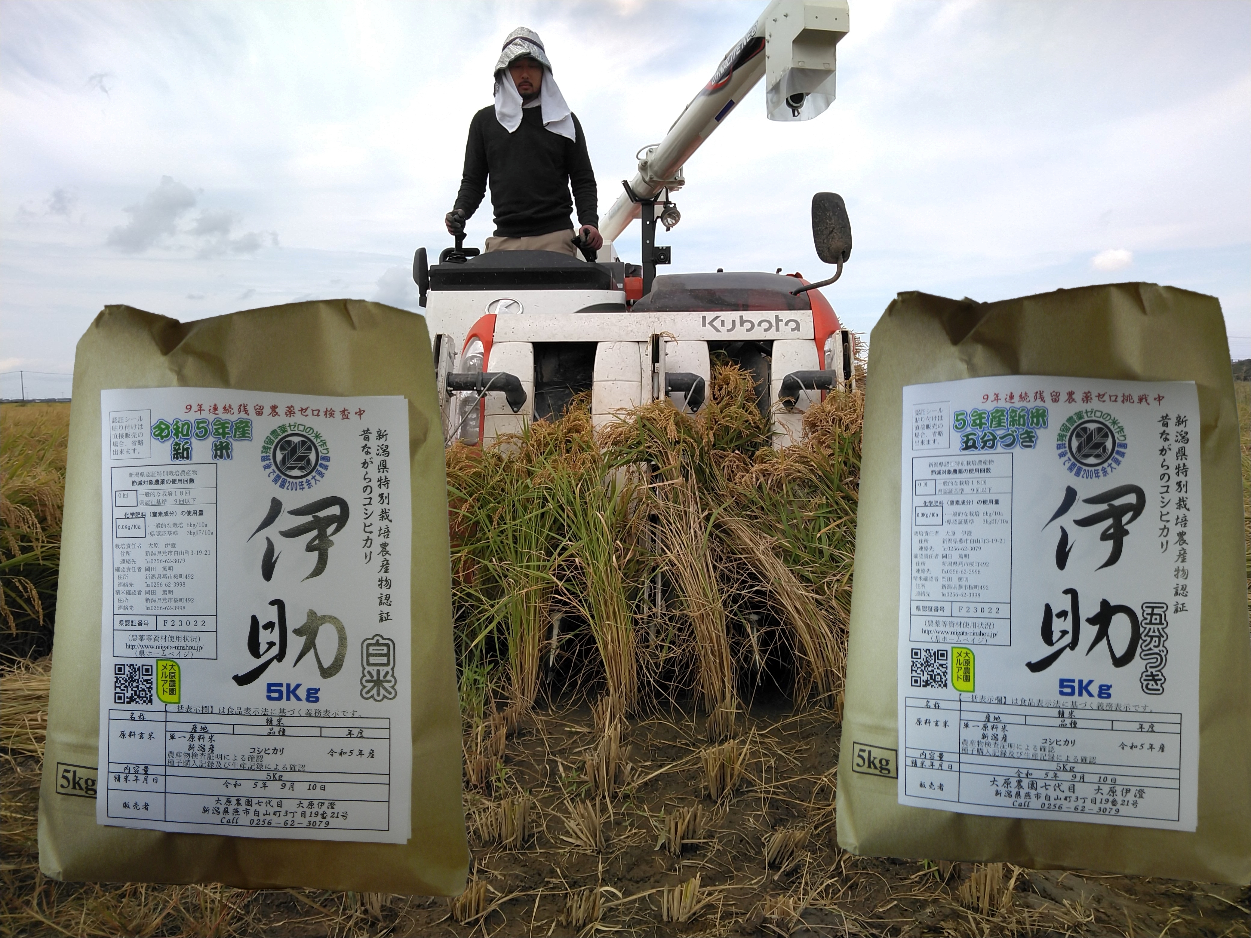 昔の稲の品種は格別に美味しい　古代米他　３年産　農薬等不使用