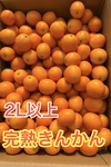 ☆送料無料‼️☆訳あり２L以上1kg、３kg皮ごとまるかじり完熟きんかん　