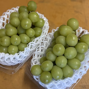 『ラストシャイン』山梨県産のシャイン1kg