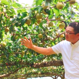 関口智之 | 関口農園