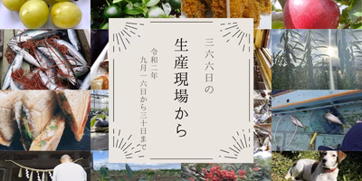 いざ収穫の秋🍁一方、海ではサバが…イカが…😢9月後半の生産現場から