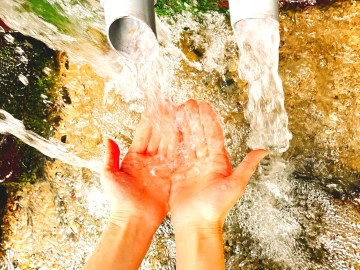 【収穫したての新生姜】 熊本のとれたて新しょうがをお届けします！