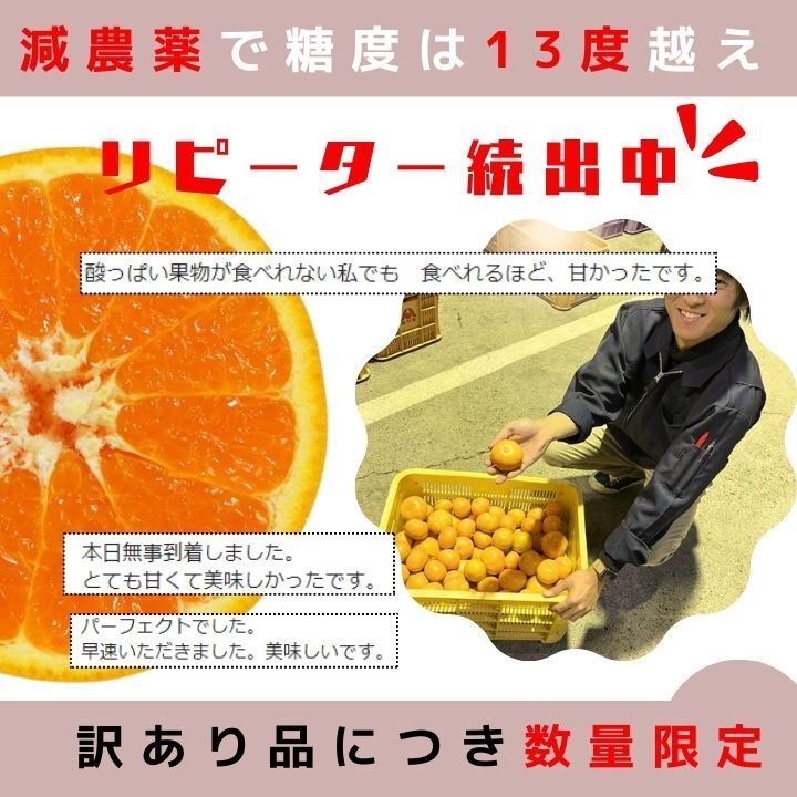 小粒のみ！減農薬 甘い うまい 安いの有田みかん 10kg ss 小玉 小さい