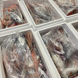 【5月先行予約】未利用魚！何が入っているかわからない【おかず1セット】