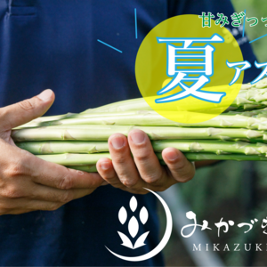 【限定お届け❗️】甘みぎっしりアスパラをご堪能ください