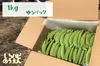 送料一律!! スナップエンドウ  お試しサイズからたっぷりサイズまで 