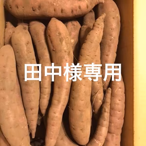 田中様専用　大山の黒ボク土で育った紅ハルカ20キロ