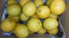皮も使える広島県産レモン  訳あり品 4kg(約38個入)　即日発送可能