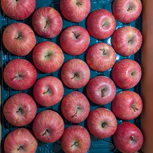 ふじリンゴ良品5kg