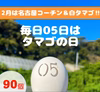 毎月05日はタマゴの日‼　×90個!!【コーチン＆白タマゴMIX】