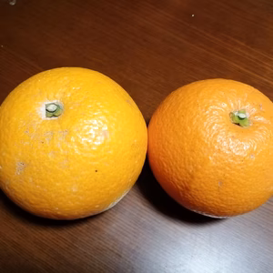 【八朔好きにオススメ】晩柑類『黄八朔＆紅八朔』食べ比べセット
