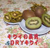【山梨産】キウイの長男 ＆ DRYキウイ　セット