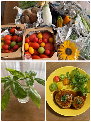 みんなの投稿の画像