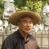 中尾実徳