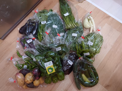 みんなの投稿の画像