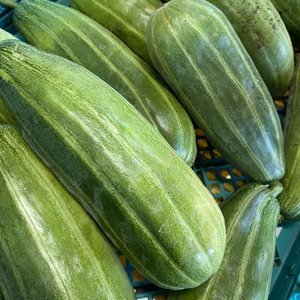 nabeさん専用  はぐらうり