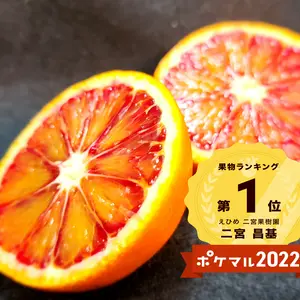 小粒ブラットオレンジ　　