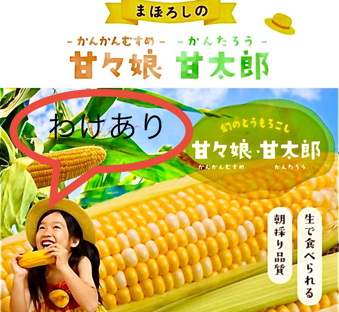 みいすけ！　静岡県遠州森のとうもろこし　甘々娘　20本 朝採り 産地直送 先行予約】静岡県森町産 遠州森のトウモロコシ『甘々娘』 朝採り