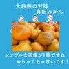 テキーラみかん（有田みかん）B品訳あり