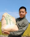 新米　令和7年産　富山県立山町産　コシヒカリ　玄米10kg　精米(白米)約9kg