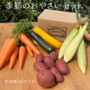 【旬をお届け！高知から】◎農薬・化学肥料不使用◎季節のおやさいセット