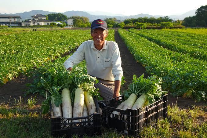 埼玉県児玉郡上里町｜須賀農場｜須賀利治さんの生産者プロフィール