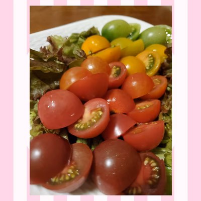 みんなの投稿の画像