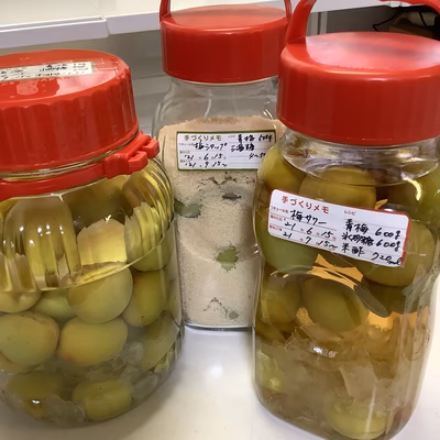 みんなの投稿の画像