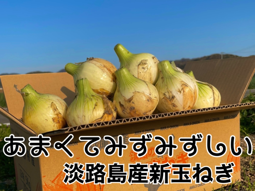 淡路島玉ねぎ5キロ秀品 - 野菜