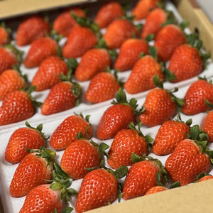 【期間限定】ご褒美❤️きらきら❤️ほのかちゃん☆農カードつき