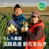 【特別栽培】5ｋｇ～淡路島の新玉ねぎ！