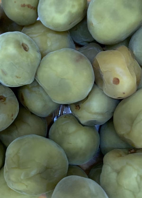 訳あり無選別国産梅酒梅