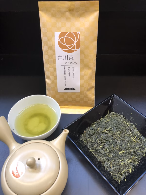 冬らしい味わいのある品種の白川茶　さえあかり　100g