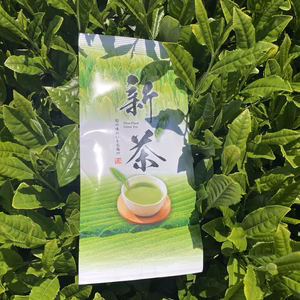 新茶‼︎静岡県掛川産 世界農業遺産 深蒸し茶 100g