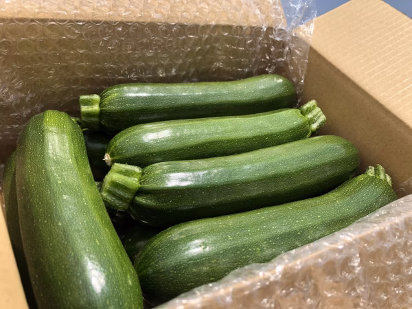  ズッキーニ リピーター多数♪ 愛情いっぱい　保存袋付き 