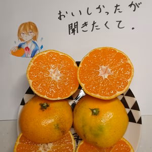 長崎産 山本早生みかん 除草剤不使用、ノーワックス