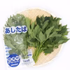生鮮あしたば(茨城県産)　100gｘ5パック　農薬・化学肥料不使用　カルコン