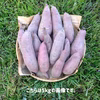 【残り僅か！】規格外品さつま芋「紅はるか10kg」（大分県産・自然栽培）
