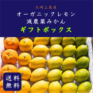 【冬限定！柑橘ギフトセット】広島県　大崎上島産　減農薬みかん　オーガニックレモン