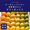 【冬限定！柑橘ギフトセット】広島県　大崎上島産　減農薬みかん　オーガニックレモン