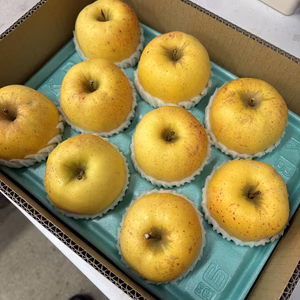 『ただいまポケマル』サンはるか