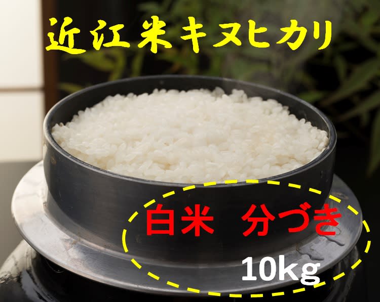 分づき精米 こだわりの味 近江米 キヌヒカリ 白米 10ｋｇ | 農家漁師から産地直送の通販 ポケットマルシェ