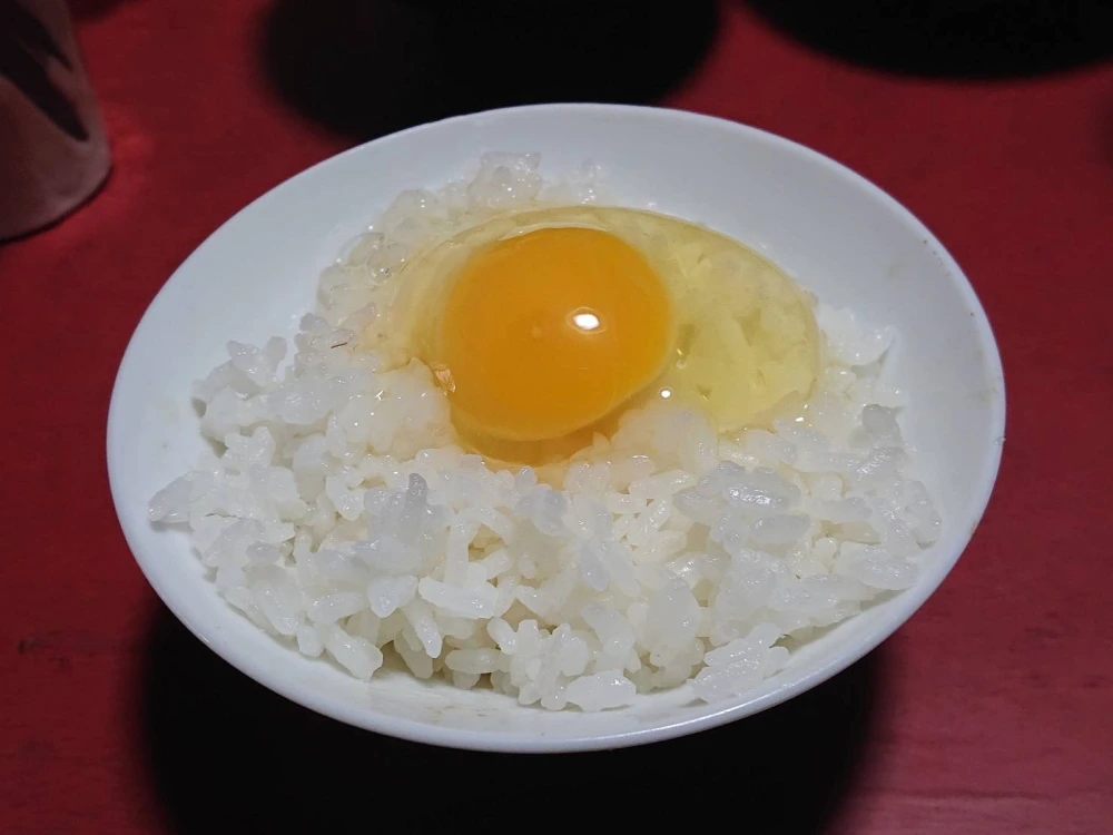 「天空の卵」新鮮野菜を食べて育った放し飼い自然卵 20玉【18玉+割れ保障2玉】