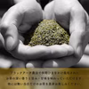 【送料無料】ラベルレス 高級茶葉／100g(3袋)金袋 猿島茶 LEF-023