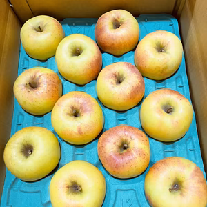 【長野県産】甘〜い！ぐんま名月